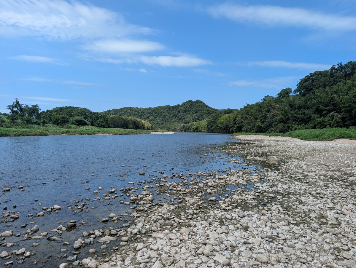 kai881's tweet photo. 本日の木津川の鮎でございます。 https://t.co/GvohpapddE