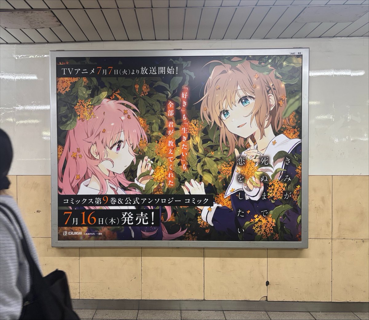Haru ♡ c'est beau