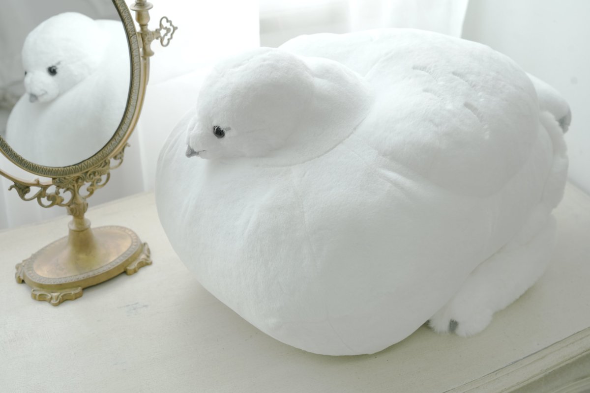 Fluffy_Holidays's tweet photo. 폭신폭신한 뇌조
https://t.co/7sOHC4Te3x https://t.co/GayGYVXCiI