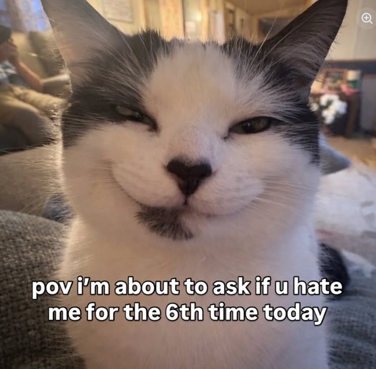Meowversetwt's tweet photo. https://t.co/VBKobT5Na0