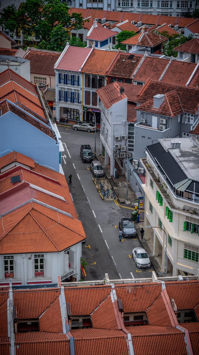 EmaandCdsfkoco's tweet photo. Singapore streets✨ Where heritage shophouses meet modern skyline🏙️🔴 https://t.co/FaRmB0V0Z6