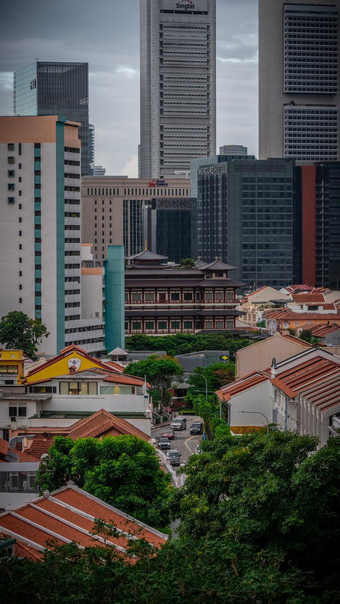 EmaandCdsfkoco's tweet photo. Singapore streets✨ Where heritage shophouses meet modern skyline🏙️🔴 https://t.co/FaRmB0V0Z6