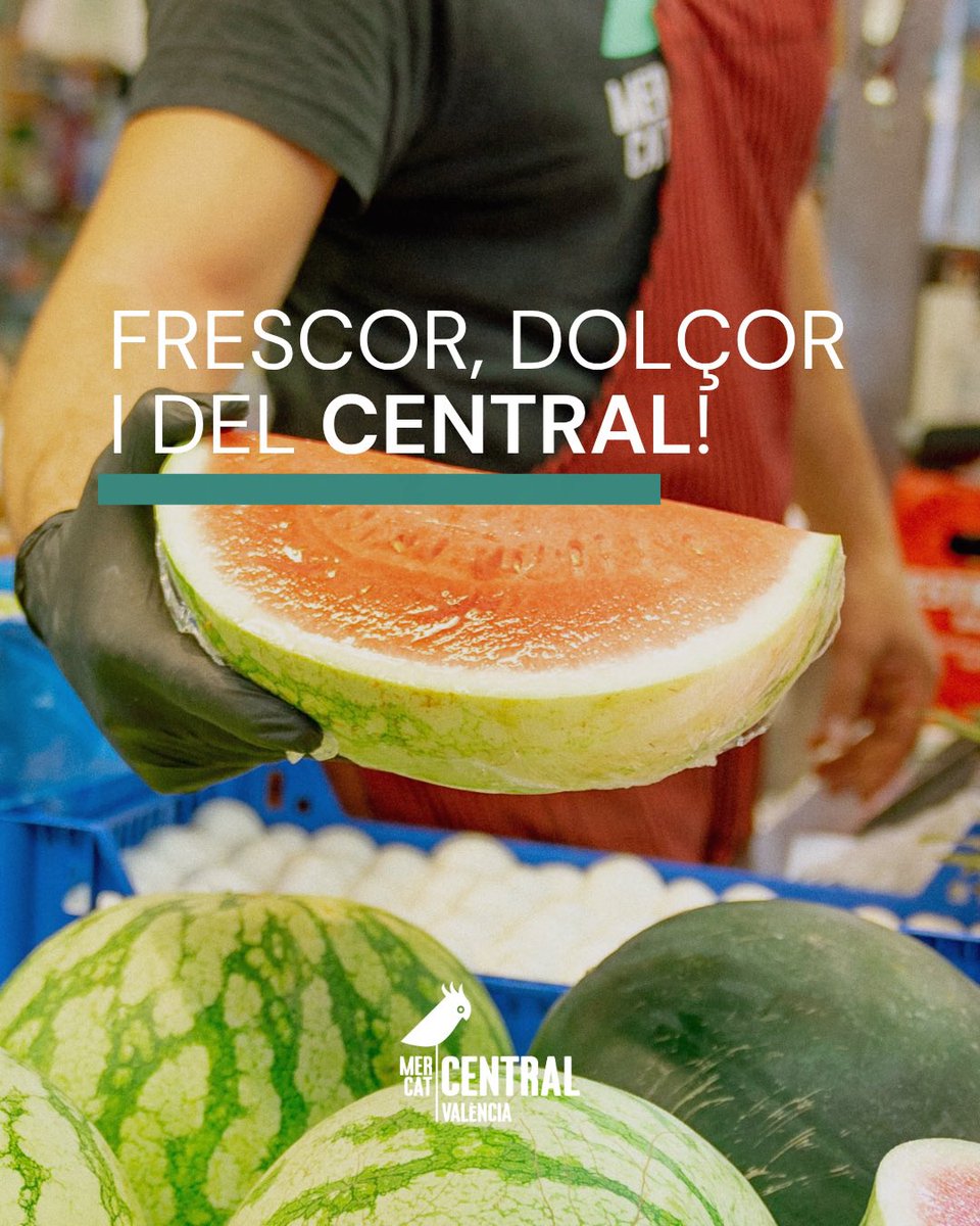 MCentralVlc's tweet photo. 🛒 Pla senzill d’estiu: vindre al Mercat Central a per el teu meló.

Fresc, dolç i valencià. https://t.co/Cb99uAXVEh