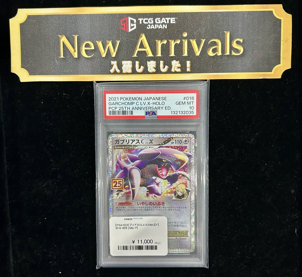 🎉新入荷情報🎉 🌈💥ガブリアスC LVX(25th) 💥🌈 ✨¥11,000-✨ PSA10