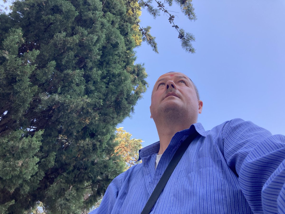 CastrovilliGius's tweet photo. https://t.co/Qau6vn6hS8