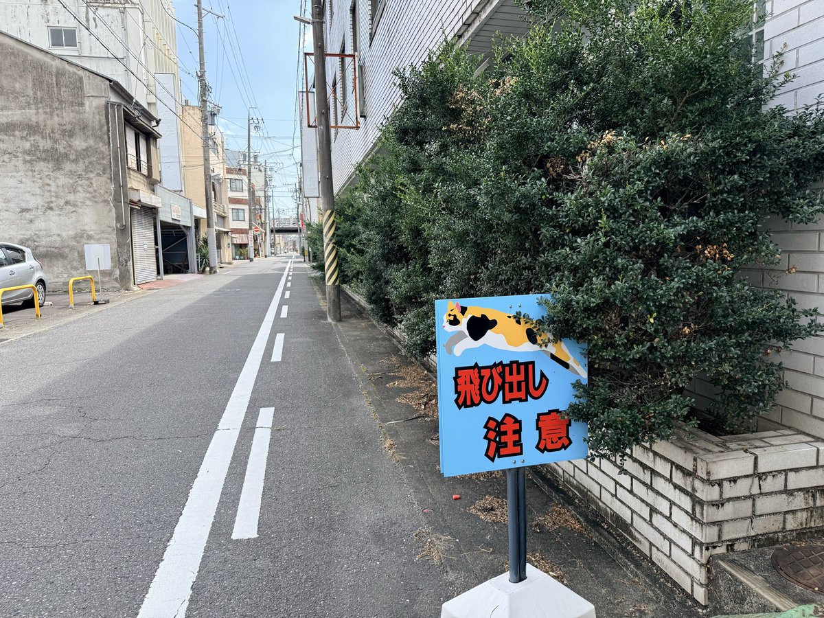 etyu_etyu's tweet photo. 岐阜市一番町
2026.8.4

#飛び出し注意看板 https://t.co/zIRKbnj5HV