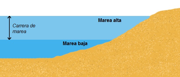 ISMrevistaMar's tweet photo. ⚓El fenómeno de las #mareas influye en la navegación, la pesca, el marisqueo y las actividades portuarias. Conocer los horarios de pleamar y bajamar (máxima y mínima altura que alcanza el nivel del🌊) sigue siendo fundamental para quienes trabajan en la mar.
#REM #GenteDeMar https://t.co/te2ZuypmNF