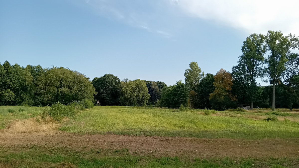 GysemansGoedele's tweet photo. #vrtweer @BuienradarBE #Schaffen 9.10 uur https://t.co/RhxKzdjiO7