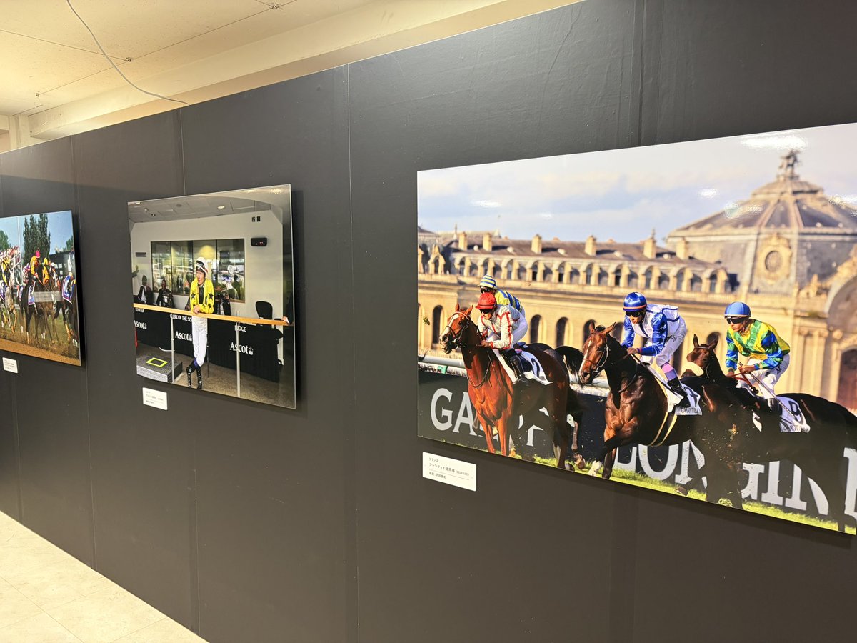 goku_uma's tweet photo. 展示の様子です https://t.co/nbIdd2gnn9