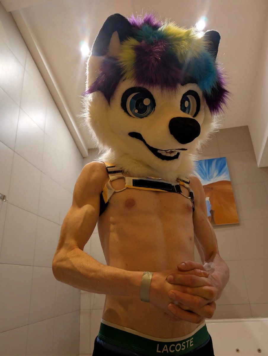 Emka25O's tweet photo. I'm continuing to post old photos 👀
#furry #fursuiting #fursuit https://t.co/rmxY945awY