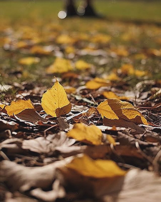 funjabi_gabru's tweet photo. Photo Challenge: LEAVES
#pocketPhoto https://t.co/AmWORLu8DA