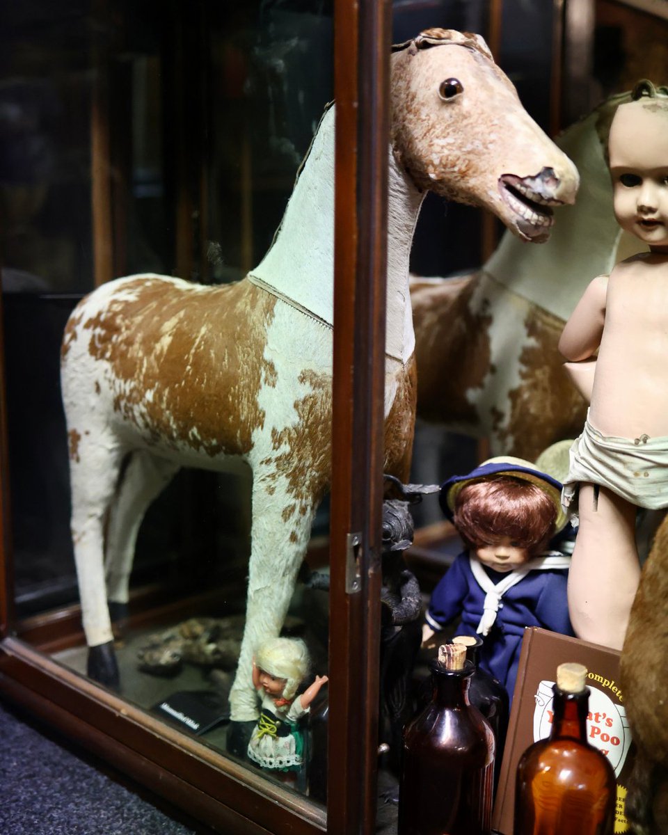CuriosMuseum's tweet photo. Henry the Horse 🐴
Apparently, this toy, which is over 100 years old, was made from real horse hair and skin. https://t.co/ThrgFeAqKk