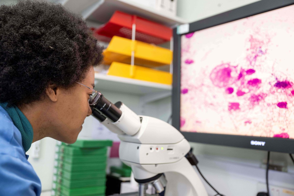 RCPath's tweet photo. Last day to represent your specialty on the Trainees' Advisory Committee. Don’t miss this valuable opportunity to contribute to your field. Submit your application today at 5pm: https://t.co/aAsuPhZw1o https://t.co/WDs2fooPY9