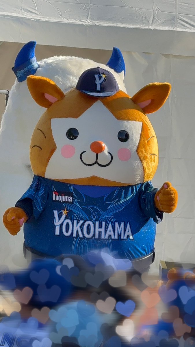 eclair0770's tweet photo. 今日のたぬと何かと戦うバートさん
 #baystars https://t.co/JEcVdkVSLX