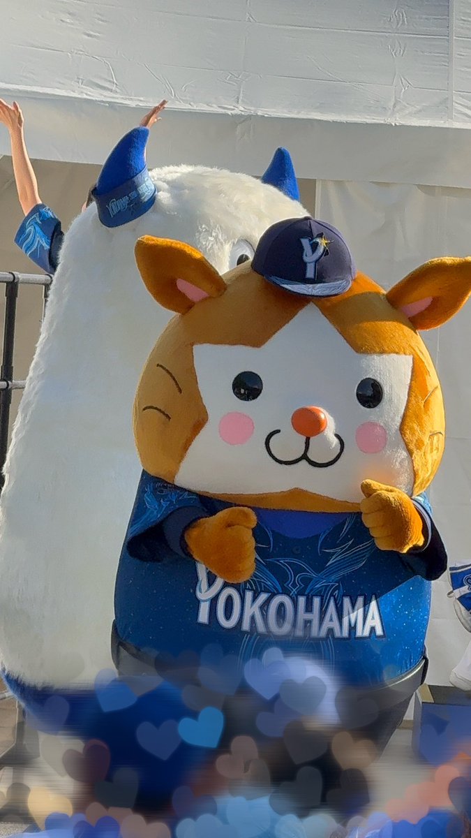 eclair0770's tweet photo. 今日のたぬと何かと戦うバートさん
 #baystars https://t.co/JEcVdkVSLX