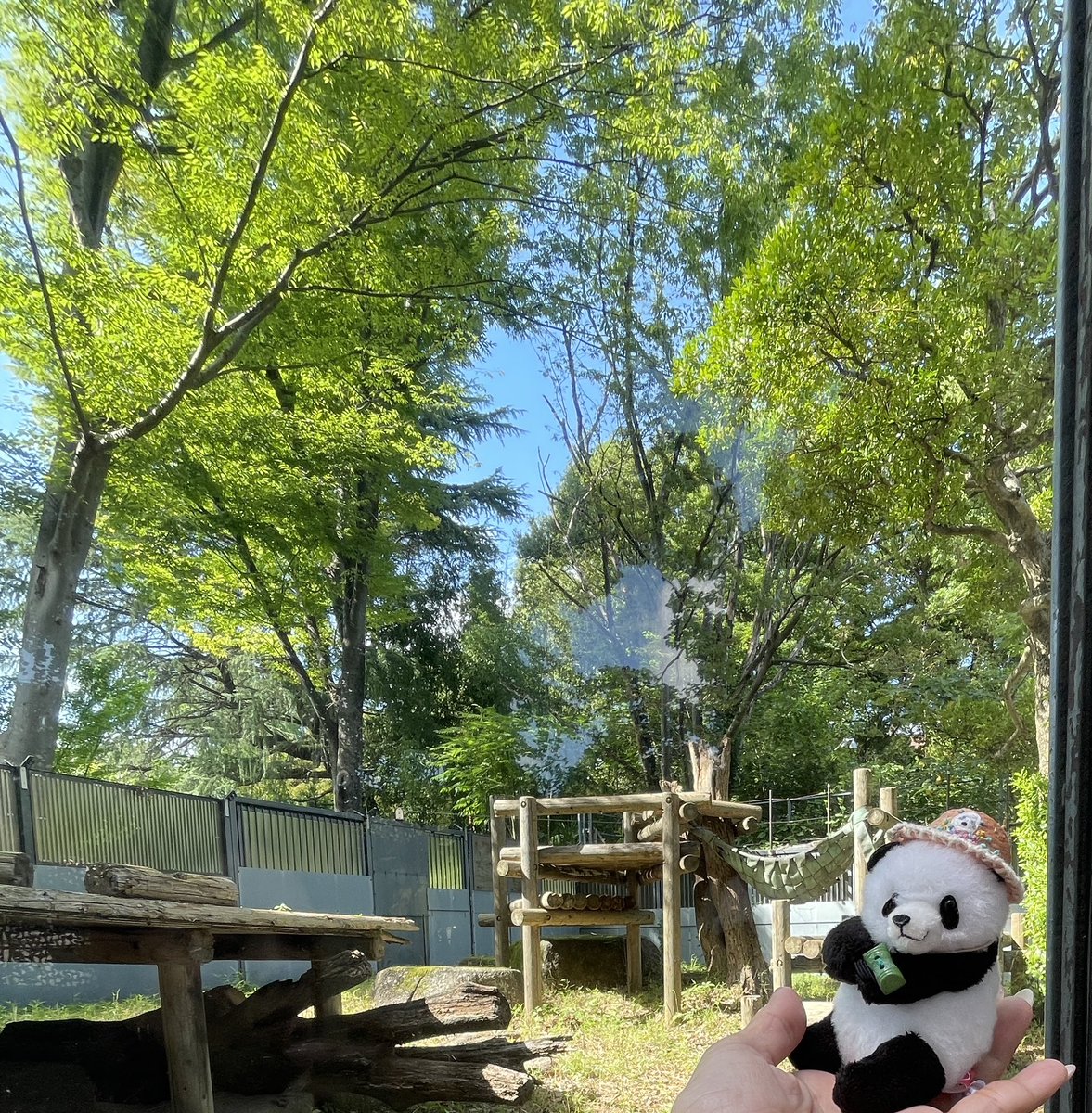 azuxiang's tweet photo. シャンシャンのお家
工事中止にして、そのお金で獣舎にエアコンつけましょ！ https://t.co/d2B3enVhSe