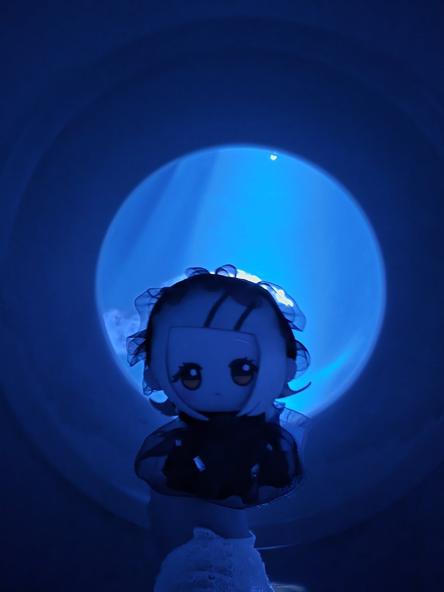 anohiro21's tweet photo. 素敵な企画をありがとうございます✨🙏
熱帯魚のパーティードレスをまとった女神のような写真を……！ https://t.co/ceEvtAIQQP