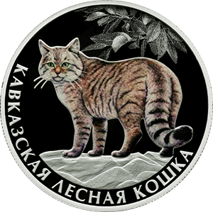 jojogyari's tweet photo. #Russia #Putin #ДоброеУтро #Zakharova #Mosca #StandWithPutin🇷🇺 #StandWhitRussia #СлаваРоссии #СВО #Россия #Москва #4августа https://t.co/YQMwybwrAX