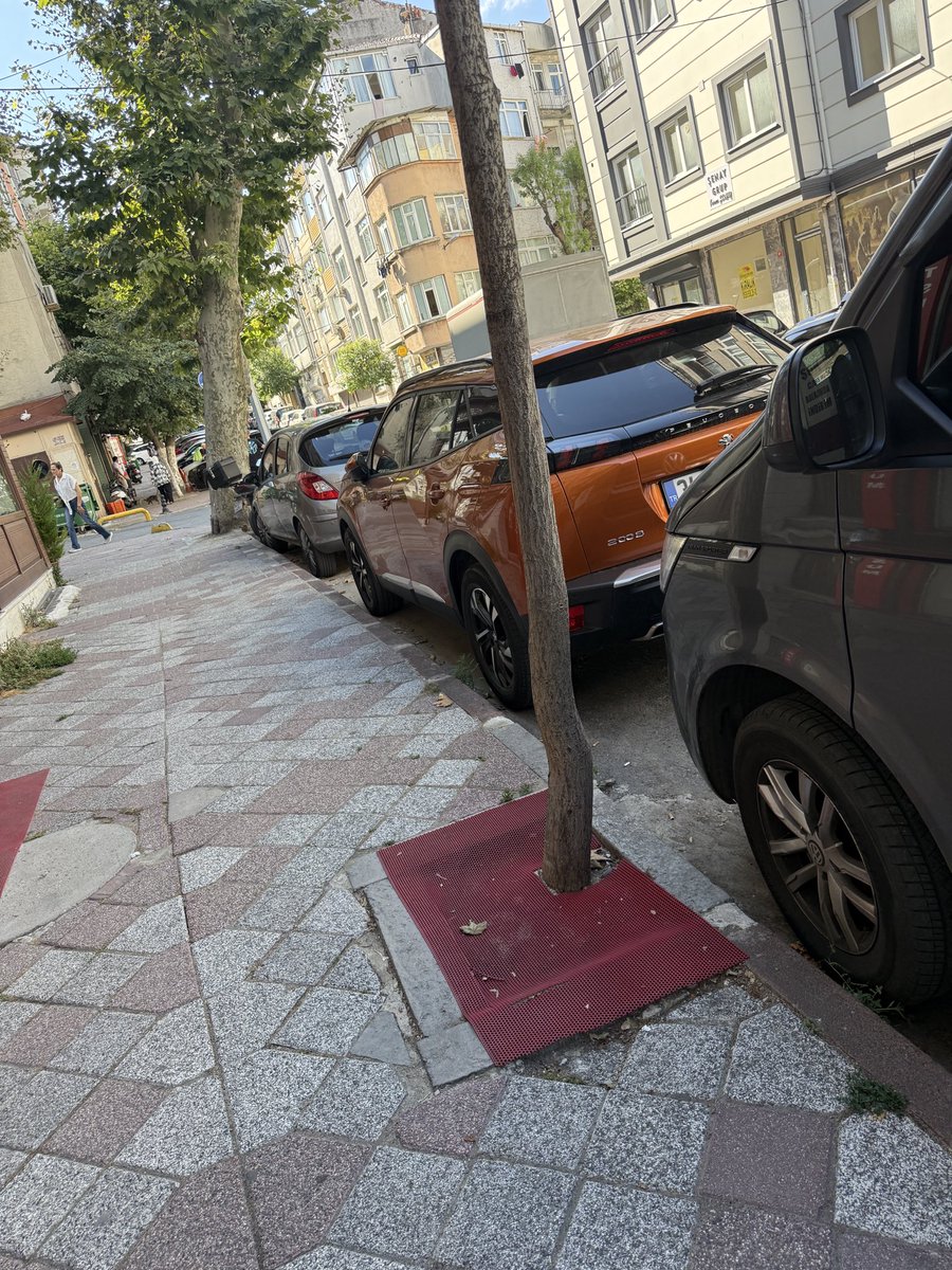 ArzuCenebas's tweet photo. Fatih, İskenderpaşa da dükkan önlerindeki ağaçların dibine plastikle kapatıyorlar bir tane bile Fatih Belediyesinden kontrol yok, o zaman neden dikiyosunuz… https://t.co/e5JGBng3Rf