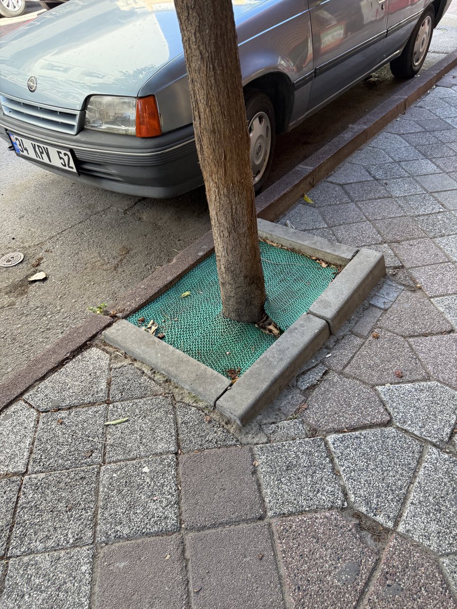 ArzuCenebas's tweet photo. Fatih, İskenderpaşa da dükkan önlerindeki ağaçların dibine plastikle kapatıyorlar bir tane bile Fatih Belediyesinden kontrol yok, o zaman neden dikiyosunuz… https://t.co/e5JGBng3Rf