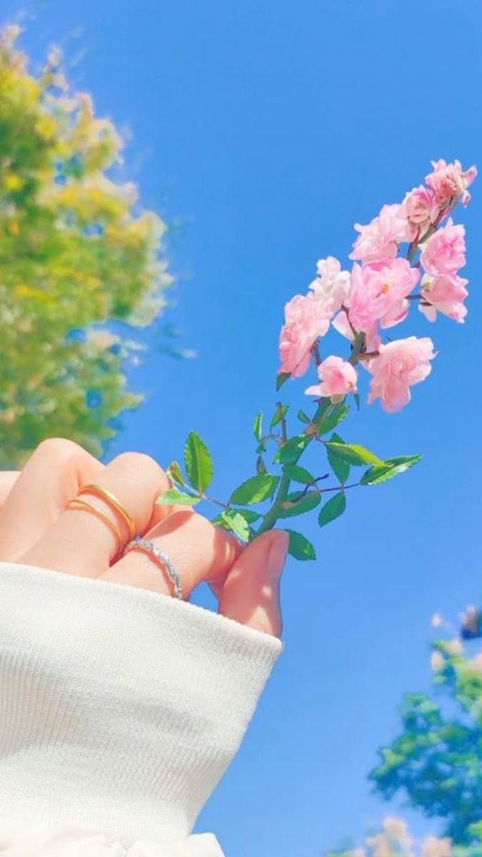 DailyVibesx1's tweet photo. #flover
#lover https://t.co/ZNb8gPnjHi