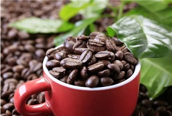 Kunminginfohub's tweet photo. China’s Coffee Tale of Two Cities—August 2026
#Kunming, #Yunnan | Aug. 1–9, 2026 | Dianchi International Coffee Cultural Carnival #SipYunnanCoffee #ALetterfromKuming
#Haikou, #Hainan | Aug. 14–16, 2026 | Hainan International #Coffee Expo @HainanTouch @HainanToday https://t.co/VyguxAdWIV
