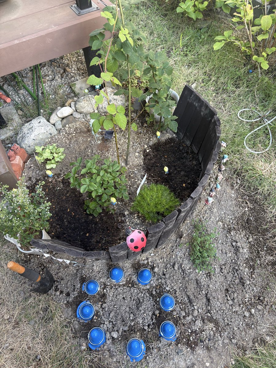sayu1983's tweet photo. あるタネを植えたよ꒰´꒳`꒱
プチガーデンの方掘ってたら木の根っこが凄くてまたスコップとかでガチガチやってある程度折ったんだけど花壇がプチ崩壊したから直したら、ちょっと広くなったか？
��ンガも積み方かわったし、イメージちょっと変わったか(๑°⌓°๑)？ https://t.co/8m3qxVrFSc