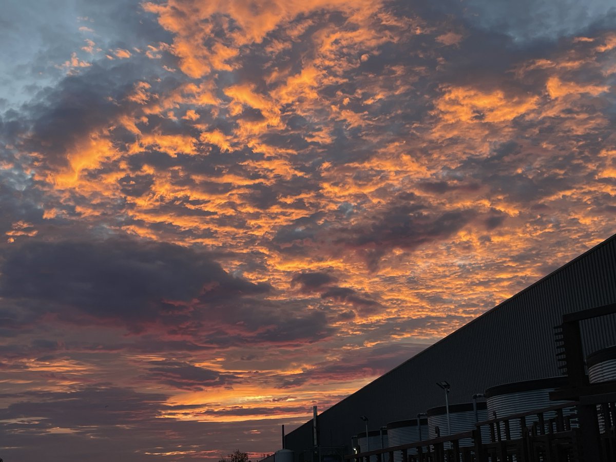 daydreamnative's tweet photo. @fergieweather Awesome sky just before sunrise in Yatton this morning. Camera never captures the pink shades that are so vibrant to the eye but the way it brought out all the texture of the cloud base was very cool. https://t.co/TS49KSvva9