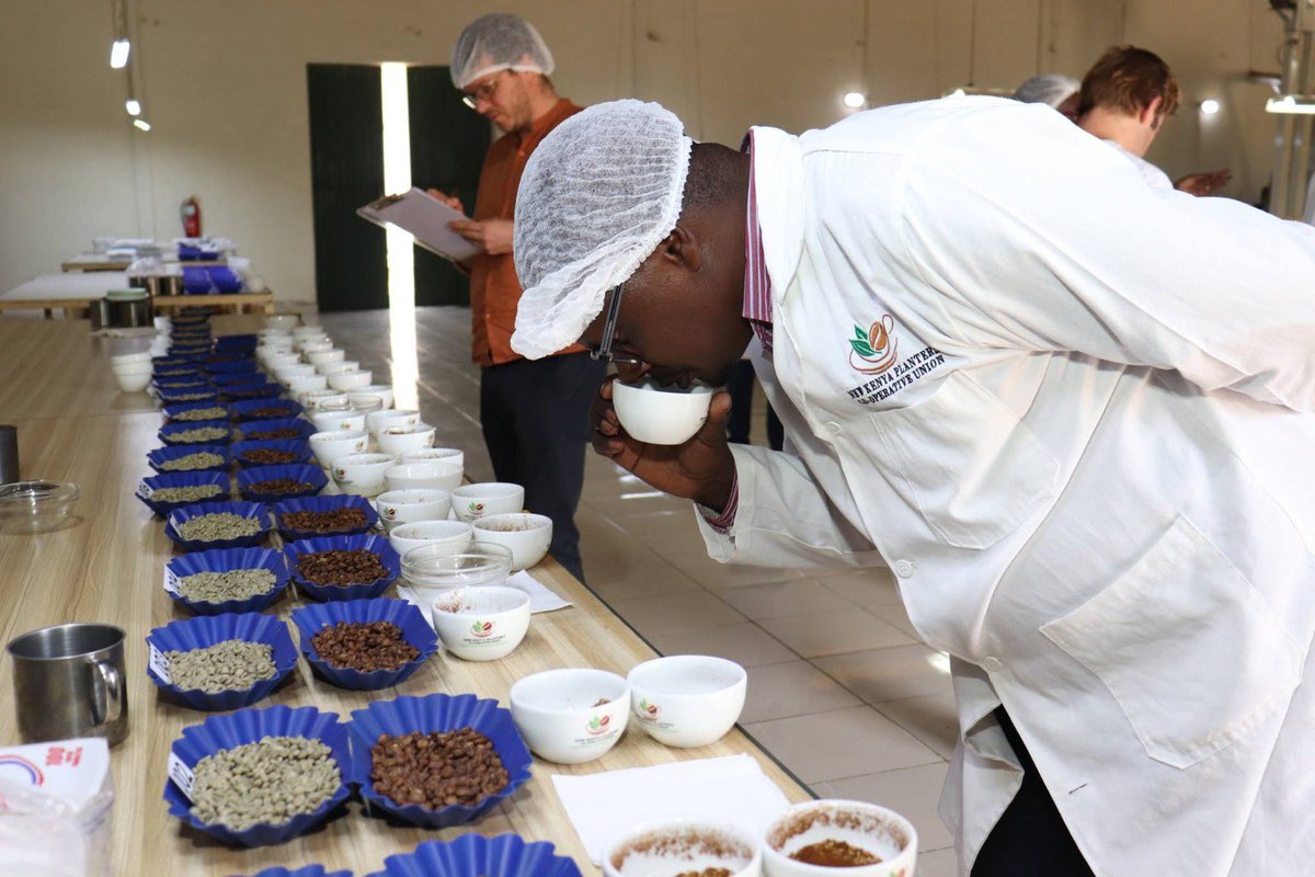 NewKpcu's tweet photo. DELIVERING VALUE THROUGH QUALITY PROCESSING
Quality doesn't happen by chance.
New KPCU provides professional coffee milling, warehousing and quality management services that preserve the unique characteristics of every coffee lot.
#CoffeeQuality #NewKPCU #SpecialtyCoffee https://t.co/I6cCBQleJV