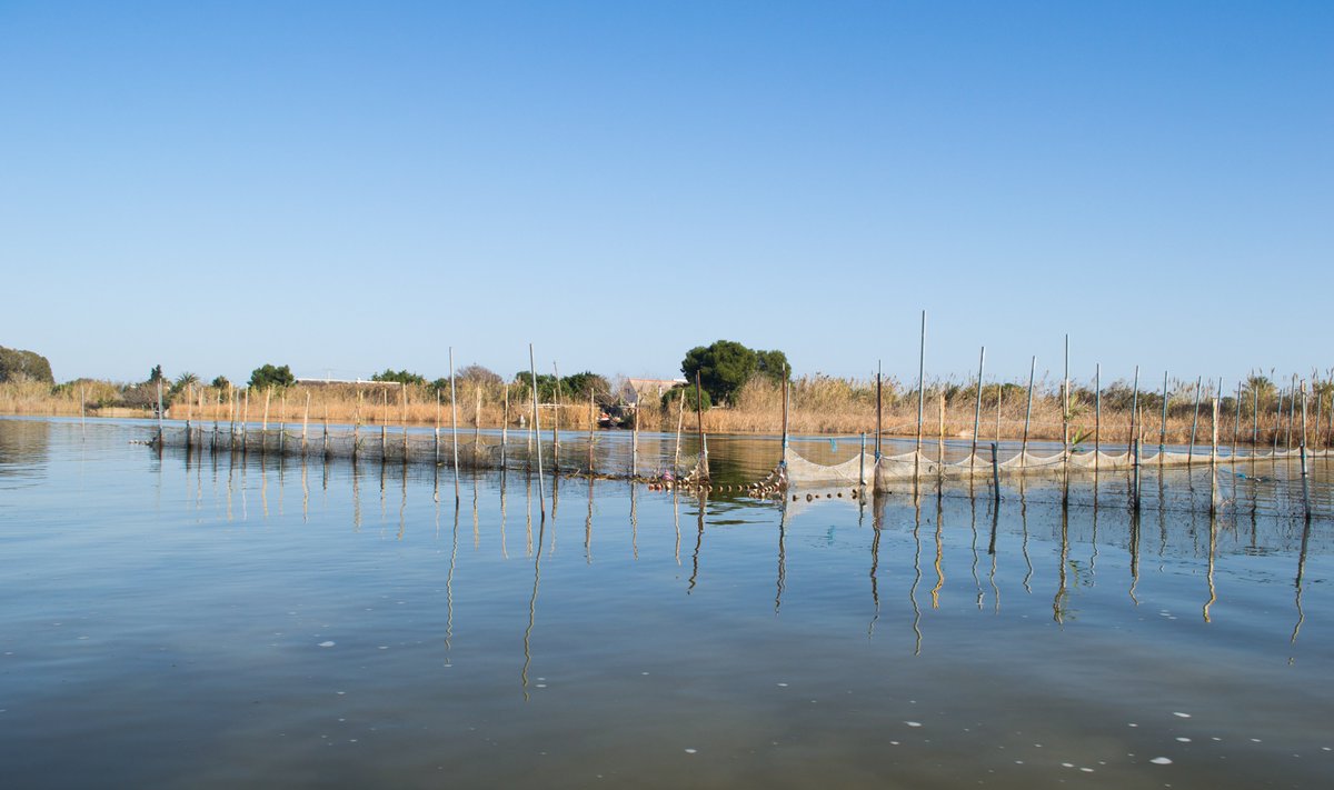 iata_csic's tweet photo. 🌍 El IATA-CSIC coordina FLOWSAFE, un proyecto europeo financiado por Horizonte Europa para restaurar ecosistemas degradados por inundaciones mediante soluciones basadas en la naturaleza, sensores inteligentes e inteligencia artificial.

🔗https://t.co/2tNrDwpXmL https://t.co/rWmmkr5Mak
