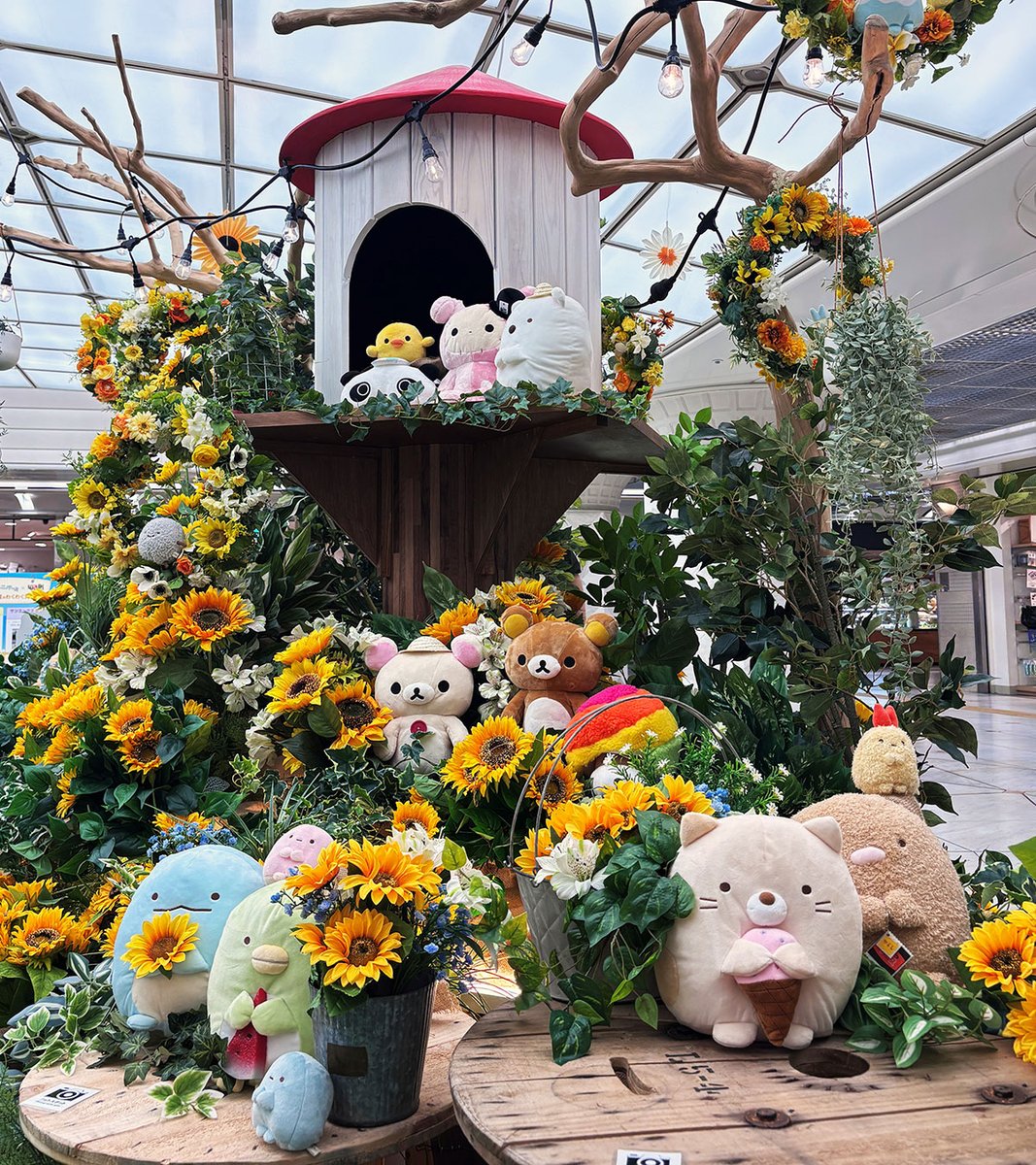 OsakaNambaWalk's tweet photo. サンエックスユニバースとのコラボ夏装飾が絶賛開催中🌻🌻
8月31日までの期間限定イベントです🌻

さらにXフォロー＆リポストキャンペーンも開催中🌻

ぜひこの機会になんばウォークへお越しください♪

🔻詳細はこちら
https://t.co/TqcSDViGtA https://t.co/jOjIkFGjHS