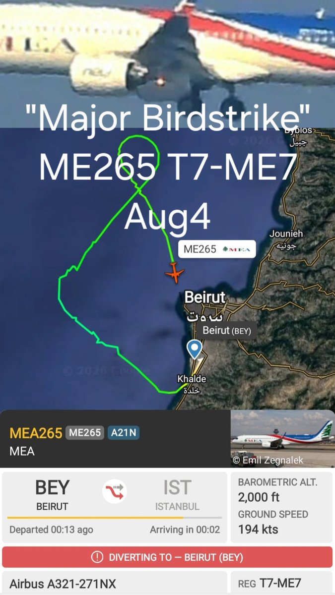 LebanonJets's tweet photo. "Major #birdstrike" this morning for #T7ME7 A321neo to #Istanbul as ME265 out of #Beirut RWY21 with many birds seen just yesterday afternoon with @haigmelikian quick return to the airfrield, swapped to backup aircraft #T7ME2 & journey continued with a 90min delay https://t.co/7ZS8HWbBES