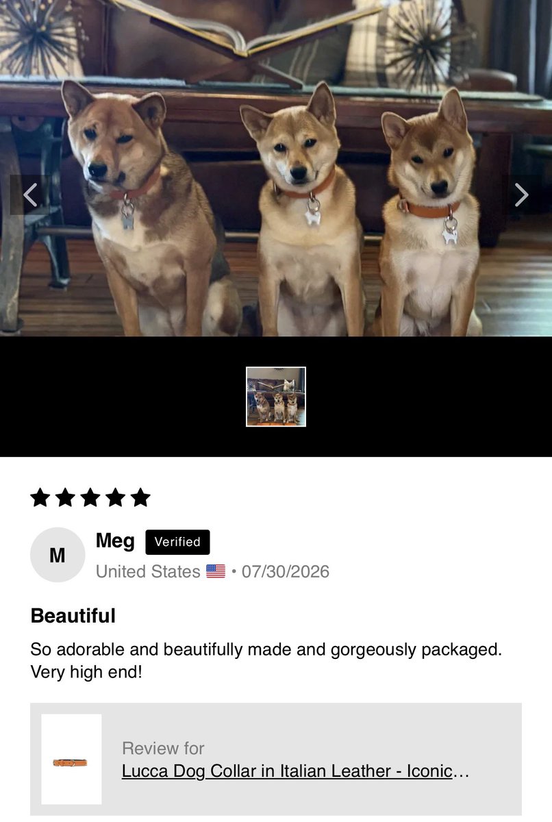 NYにある柴犬グッズブランドの口コミが最高🐕🐕🐕