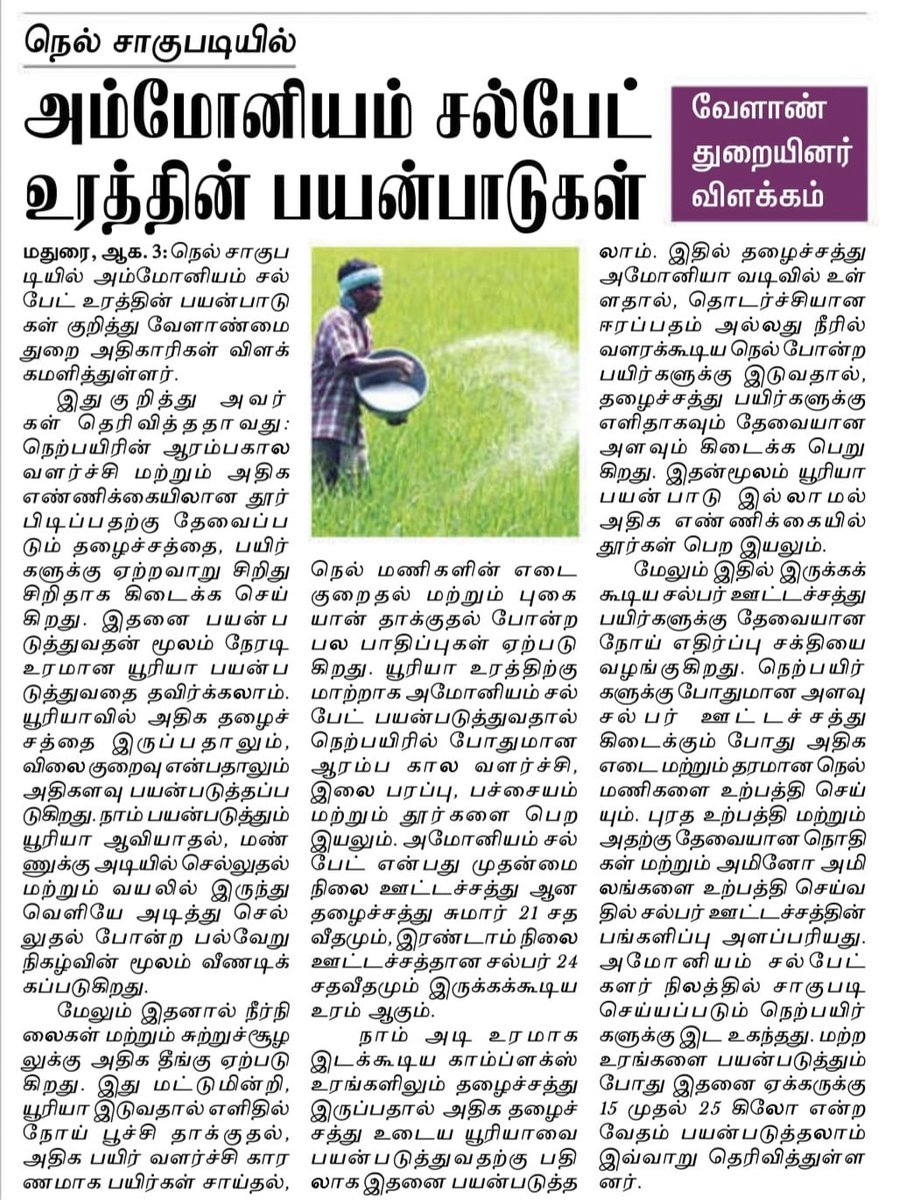FACT_Tamilnadu's tweet photo. News paper article by #Madurai #AgricultureDepartment officials on benefits of using #AmmoniumSulphate in #Paddy Crop
#மதுரை மாவட்ட #வேளாண்அதிகாரிகள் #நெற்பயிரில் #அம்மோனியம் சல்பேட் பயன்படுத்துவதால் ஏற்படும் நன்மைகள் பற்றி 03.08.2026 அன்று நாளிதழில் வெளியிட்ட செய்தி https://t.co/uycvREjtmE