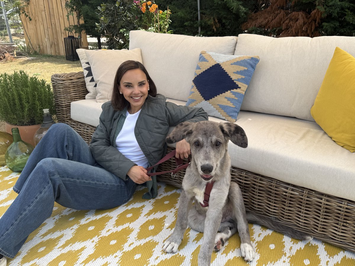 cuandotuvas91's tweet photo. Hoy nuevo programa de #DogHouse con nuestra #Chenoa maravillosa ❤️😍👏🏻
No os lo podéis perder! En @La1_tve y en @rtveplay después de Viaje al centro de la tele (23h)
📸Google
🐕🐕🐕🐕🐩🐩🐩🐩🦮🐕🦺 https://t.co/bzuScdSncX