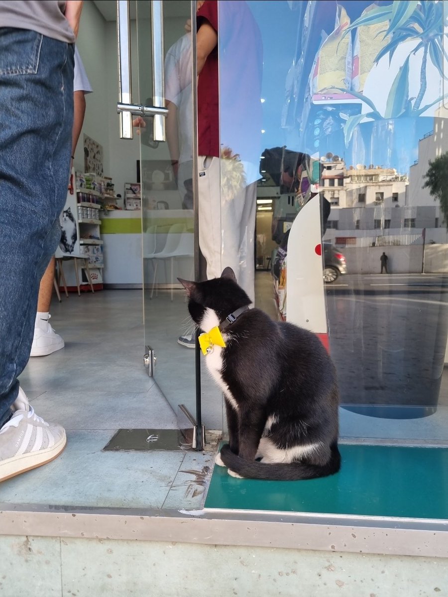 Alighafir2's tweet photo. Boulevard Zerktouni, Casablanca 🇲🇦 https://t.co/MJTRdAHmz2