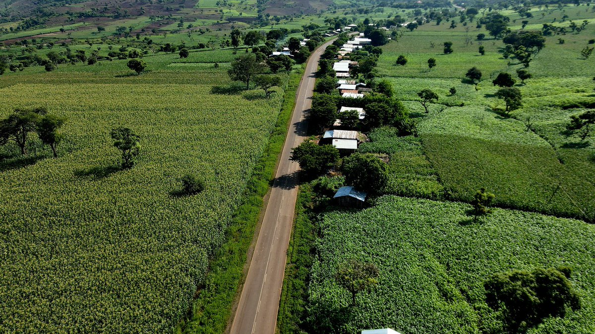 AddisuAregaK's tweet photo. From Cluster Farming to Farmer-Owned Agribusiness Companies.

Ethiopia’s cluster farming model is entering a new chapter.

What began with 600,000 hectares has expanded to nearly 13 million hectares, bringing together 9.5 million smallholder farmers while contributing to a 29% increase in productivity.

Now, under the new Farmers’ Agribusiness Companies Proclamation, these clusters are being transformed into legally registered, professionally managed farmer owned businesses.

This transition will strengthen value addition, improve market access and bargaining power, expand access to finance, and accelerate the shift from subsistence farming to competitive, commercial agriculture.

Empowering farmers not just to produce but to own, process, negotiate, and prosper.

#Agriculture #Agribusiness #FoodSecurity #ValueChains #SmallholderFarmers #Ethiopia #AgriculturalTransformation