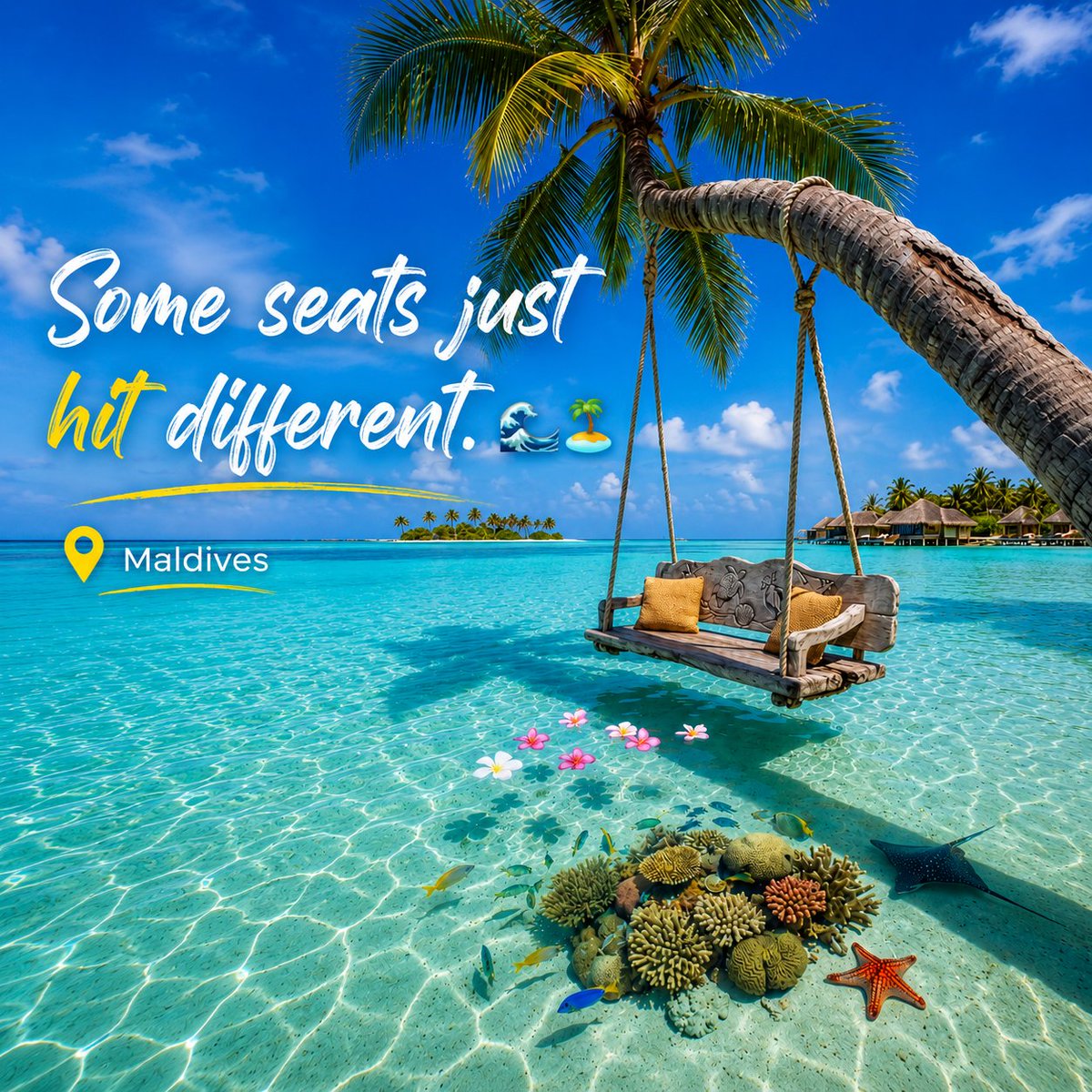kenglobalvisa's tweet photo. 4 Nights of pure Maldives luxury starting at $2,980 per couple! 🏝️

Package includes: ▪️ 2N Beachfront + 2N InOcean Pool Villa ▪️ Round-trip Seaplane Transfers ✈️ ▪️ Full Board Meals 🍽️ ▪️ 1x Floating Breakfast 🍳
📆 Book by Aug 31 | Stays thru Sept 30
#Maldives #TravelDeals https://t.co/TgK7Htmz7O