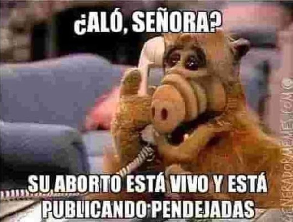 CABALLONEGRO10's tweet photo. @AlbertoElRudo @PedroFerriz @Claudiashein @realDonaldTrump https://t.co/4Q0lXCiNK1