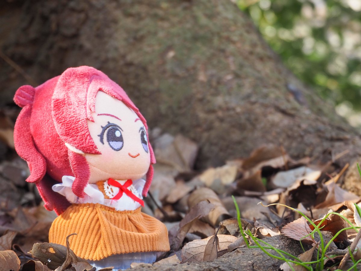 uni_internet's tweet photo. お気に入りのお洋服、お気に入りの写真です https://t.co/JWuAB78WEb