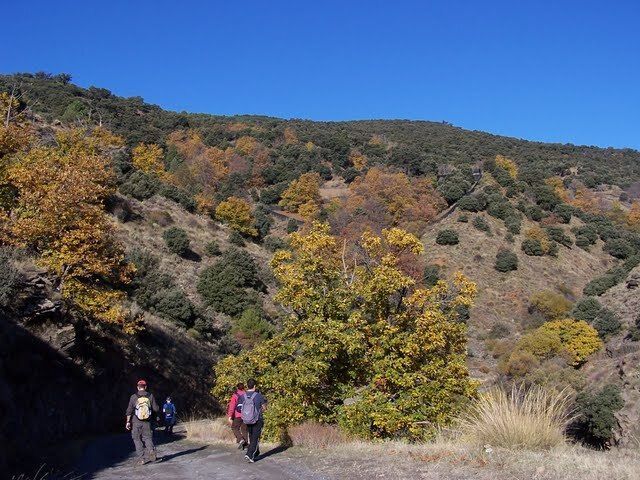 Senderosalmeria's tweet photo. El Sendero del Aguadero desciende hacia el Barranco del Horcajo, un rincón de Laujar de Andarax con castaños y encinas. Sierra Nevada de Almería. https://t.co/XP0X2OSfpw