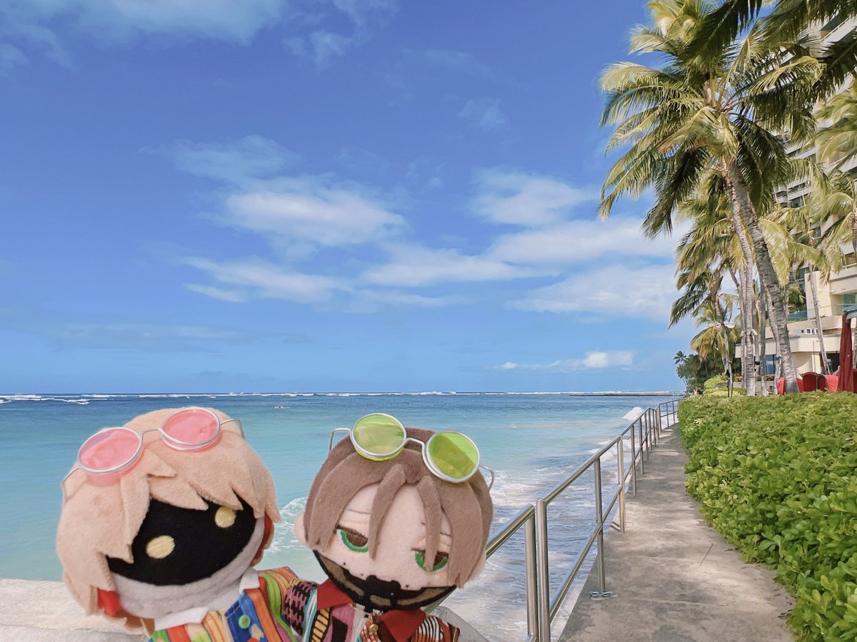 xtoratox's tweet photo. ビーチのマカ🏖️ https://t.co/jxOZ7Md58F