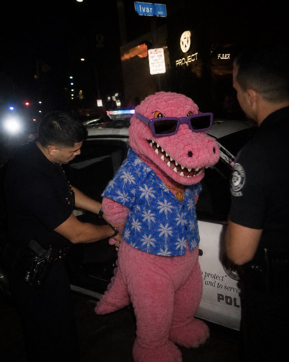 MaccaTheGator_'s tweet photo. They got me https://t.co/31cGFdnBZG