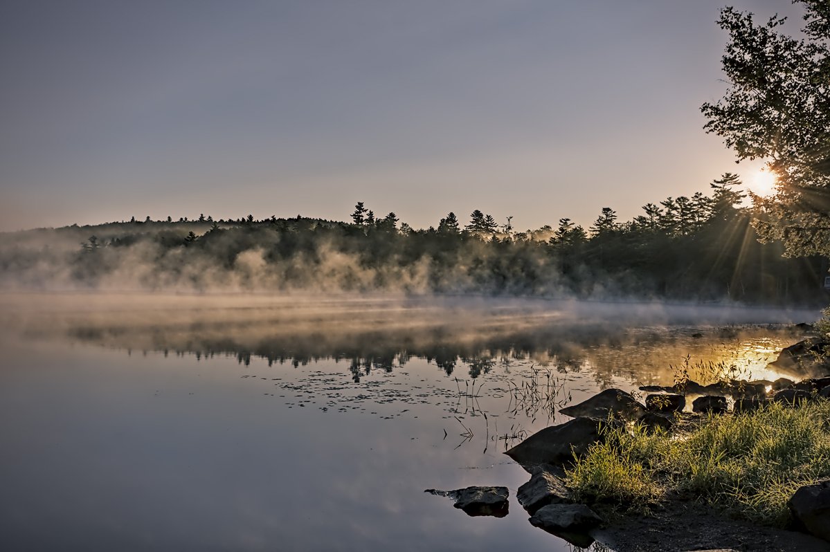 HipExplorer's tweet photo. I was driving to work like any other morning when the fog over Sanborn Pond caught my eye.

📍 Sanborn Pond | Brooks, Maine
📅 September 11, 2024 https://t.co/tyHF8r7Rs1