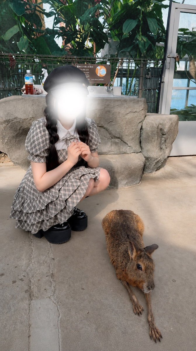 suuusansui's tweet photo. 癒された(◦ˉ ˘ ˉ◦) https://t.co/CvYU33bRx1