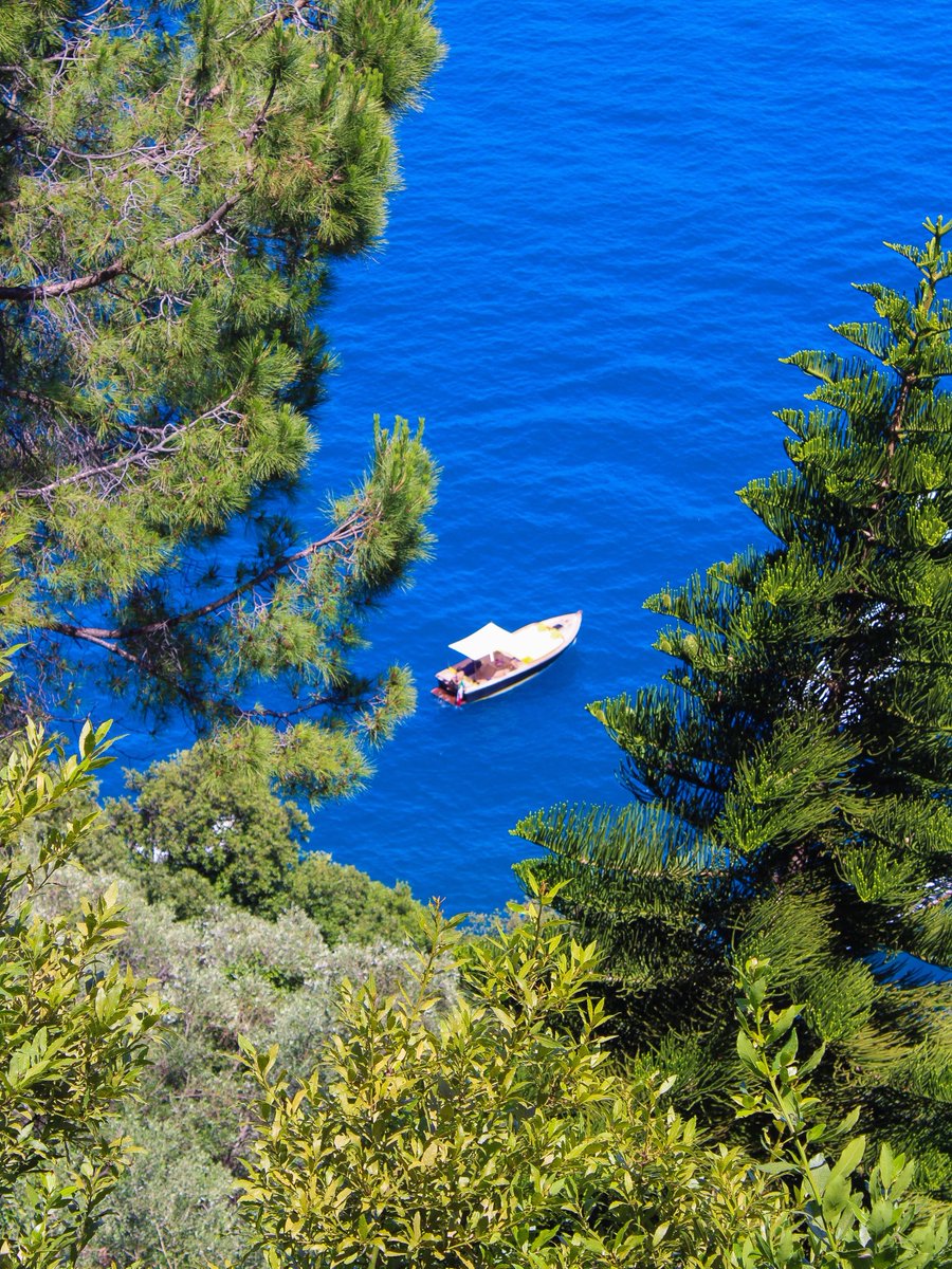 earthwhisperss's tweet photo. Portofino, Italy 🇮🇹 https://t.co/1tVA7DDLGw