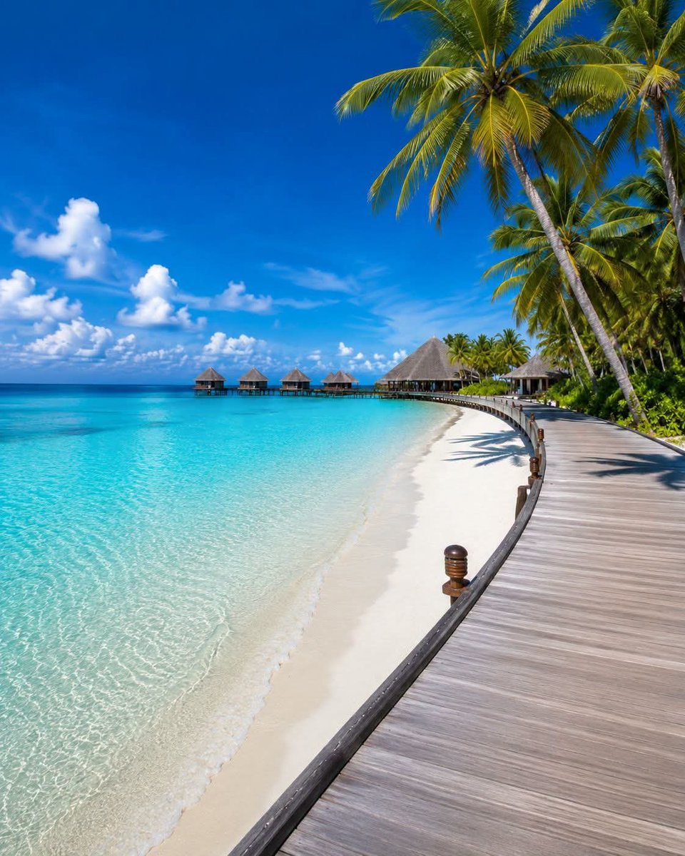 realmagine's tweet photo. Walking in a tropical paradise 🏝️🌊

Maldives 🇲🇻

#Maldives #Paradise #Imagine https://t.co/yV8hZK1GAZ