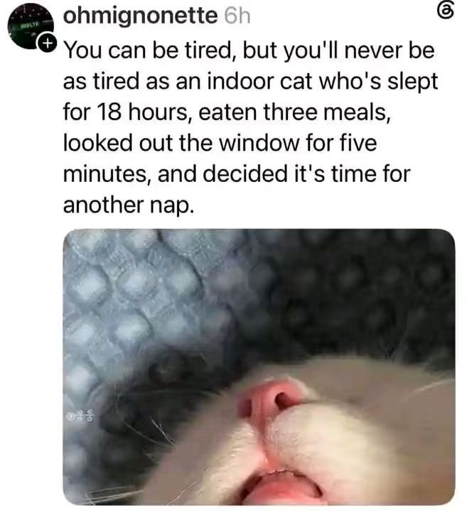 WholesomeMeme's tweet photo. https://t.co/LlxSGYIAd9