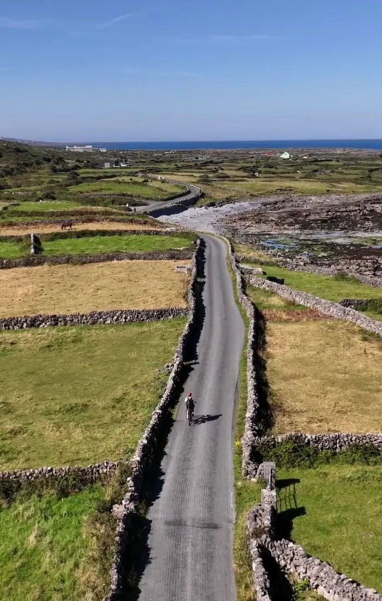 ThisIsIreland3's tweet photo. A beautiful place for a cycle 🏞️

📍This is Inishmore, the largest of the Aran Islands, in County Galway ☘️

The natural beauty here is well worth experiencing &amp; will stay with you forever 🇮🇪

📸 Fergal Durkan

#Galway #Ireland #Aranisland #Beauty https://t.co/FnYK7eCWuQ