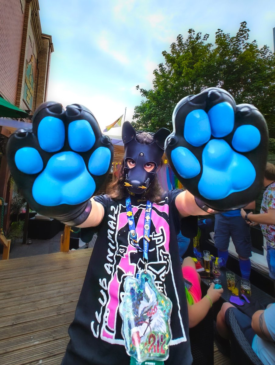altfvr's tweet photo. PAWS!! https://t.co/vScw3XE6gD